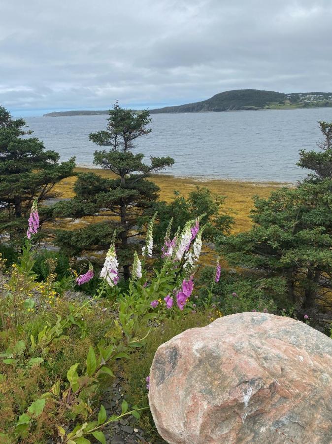 Rocky Harbour Oceanfront 빌라 외부 사진