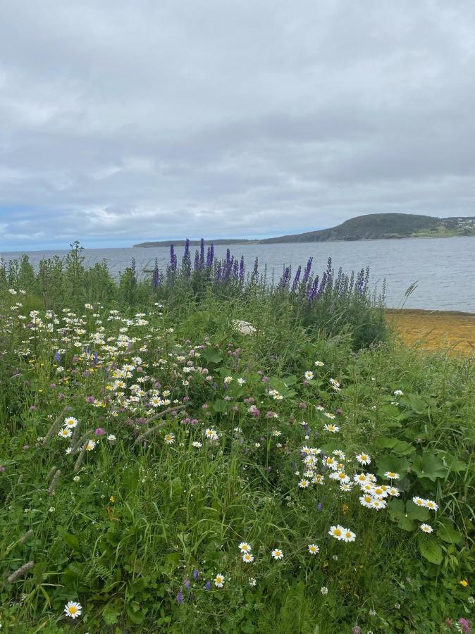 Rocky Harbour Oceanfront 빌라 외부 사진